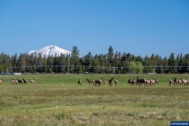K BAR J RANCH- Stunning property with so much to offer. Some of - photo 37
