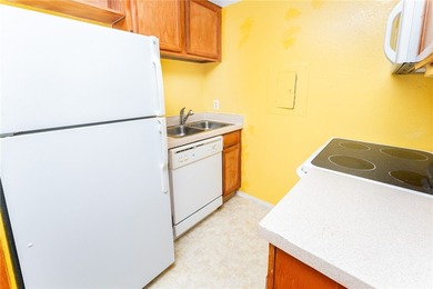 Property is selling as-is. This home would be a great project - photo 8