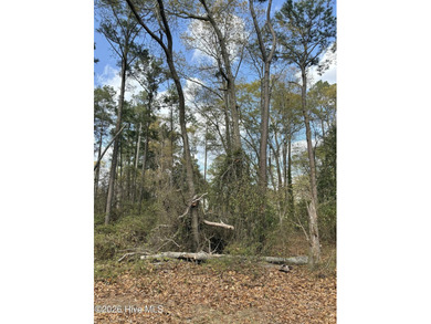 Located in a waterfront community, ready for you to build your - photo 3