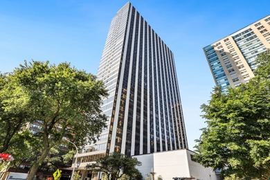 Lake Michigan - Cook County Condo For Sale in Chicago Illinois
