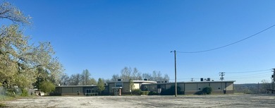 Lake Taneycomo Commercial For Sale in Branson Missouri