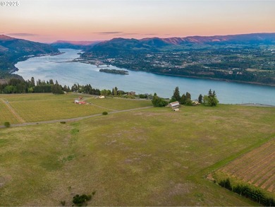 This 49-acre estate in the Columbia Gorge National Scenic Area - photo 2