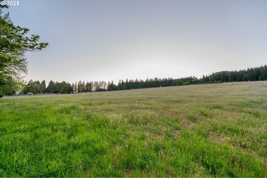 This 49-acre estate in the Columbia Gorge National Scenic Area - photo 10