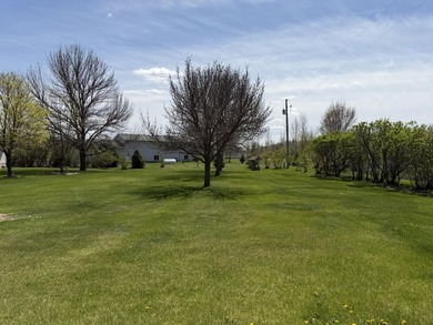 Lots of wide-open space with this ranch style home built on 1.11 - photo 33
