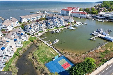 COASTAL LUXURY MEETS EVERYDAY VACATION LIVING in Windward Key on - photo 33