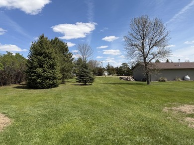 Lots of wide-open space with this ranch style home built on 1.11 - photo 34