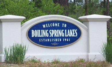 Discover the perfect opportunity in the charming community of - photo 2