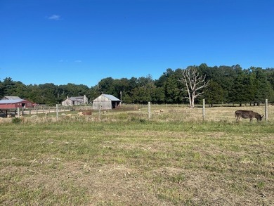 Presenting APR 50 Acre Farmhouse w/ several barns-a unique - photo 4