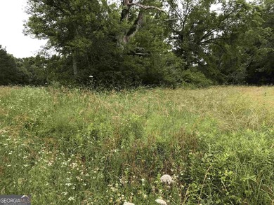 13.678 BEAUTIFUL ACRES READY FOR YOU TO BUILD YOUR NEW HOME - photo 2