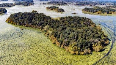 Lake Iamonia Acreage For Sale in Tallahassee Florida