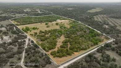 (private lake, pond, coastal) Home For Sale in Hico Texas