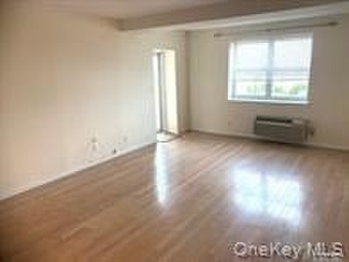 Absolutely Diamond Condition 1 Bedroom, 1 Bath Condo w/ Parking