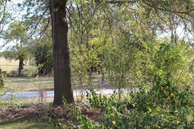 Lake Home For Sale in Lone Oak, Texas