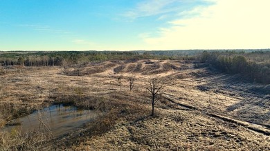 (private lake, pond, coastal) Acreage For Sale in  Mississippi