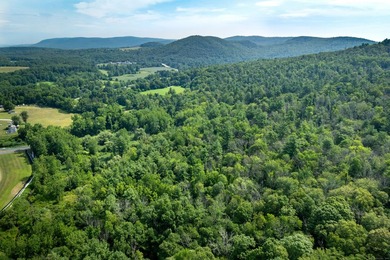 Scenic 28+ Acre Parcel with Mountain Views in Salisbury, CT - photo 13