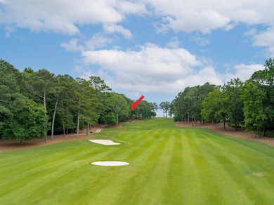 Welcome to your dream home at Reynolds Lake Oconee, where luxury - photo 38