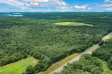 Set along the prized shores of World Renowned Lake Fork in the - photo 5