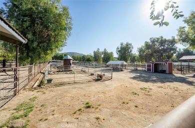 38831 Pauba - photo 15