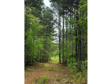 (private lake, pond, coastal) Acreage For Sale in Oxford Mississippi
