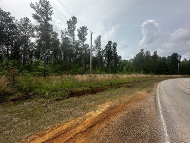 APPROX 197 ACRES LAFAYETTE COUNTY TIMBERLAND, GENTLY ROLLING - photo 2