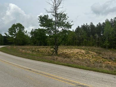 APPROX 197 ACRES LAFAYETTE COUNTY TIMBERLAND, GENTLY ROLLING - photo 3