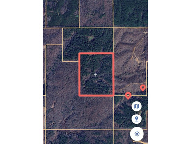 APPROX 197 ACRES LAFAYETTE COUNTY TIMBERLAND, GENTLY ROLLING - photo 5