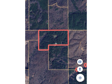 APPROX 197 ACRES LAFAYETTE COUNTY TIMBERLAND, GENTLY ROLLING - photo 6