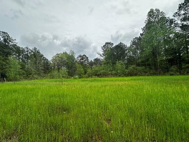 APPROX 197 ACRES LAFAYETTE COUNTY TIMBERLAND, GENTLY ROLLING - photo 9