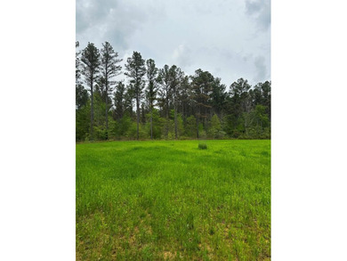 APPROX 197 ACRES LAFAYETTE COUNTY TIMBERLAND, GENTLY ROLLING - photo 10