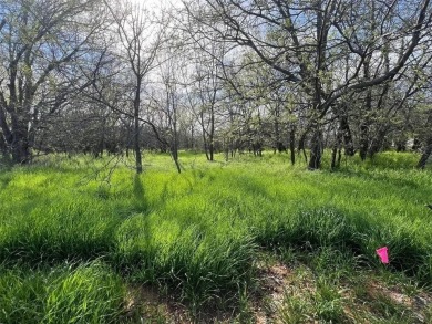 Lake Lot For Sale in Granbury, Texas