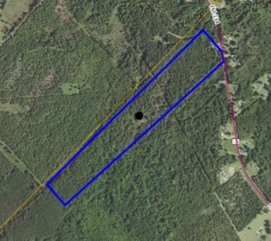 Discover 51 acres of heavily wooded East Texas land offering - photo 1