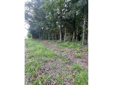 Discover 51 acres of heavily wooded East Texas land offering - photo 2