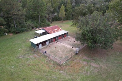 Lovely brick ranch-style home with just over 12 acres! Through - photo 19