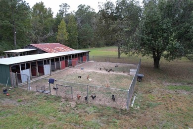 Lovely brick ranch-style home with just over 12 acres! Through - photo 20