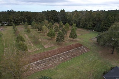 Lovely brick ranch-style home with just over 12 acres! Through - photo 22