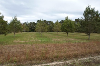 Lovely brick ranch-style home with just over 12 acres! Through - photo 23