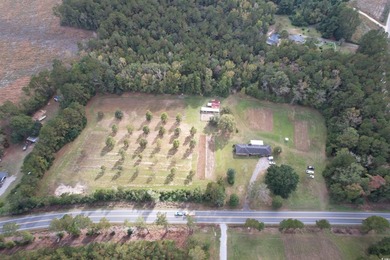 Lovely brick ranch-style home with just over 12 acres! Through - photo 25