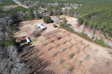 Lovely brick ranch-style home with just over 12 acres! Through - photo 26