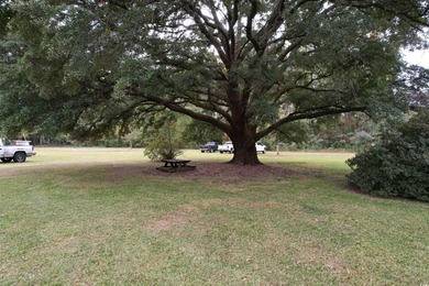 Lovely brick ranch-style home with just over 12 acres! Through - photo 27