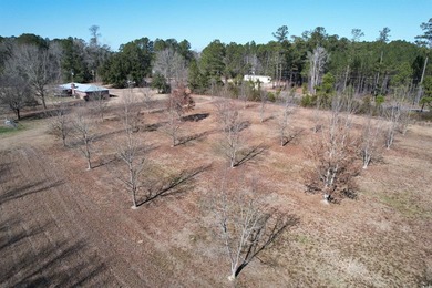 Lovely brick ranch-style home with just over 12 acres! Through - photo 28