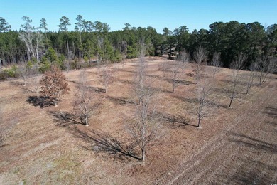 Lovely brick ranch-style home with just over 12 acres! Through - photo 29