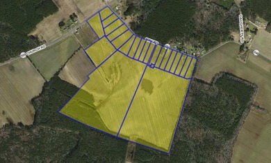 (private lake, pond, coastal) Acreage Sale Pending in Onley Virginia