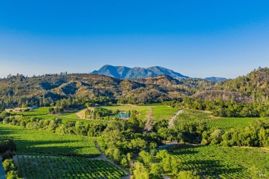 Lake Home For Sale in Calistoga, California