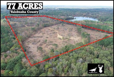 (private lake, pond, coastal) Acreage For Sale in Tillatoba Mississippi