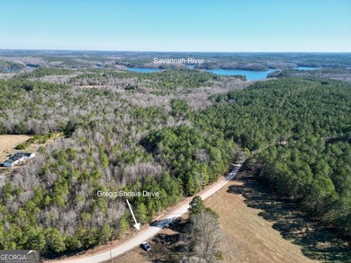 Your own slice of the Georgia outdoors on nearly 4 wooded acres - photo 3