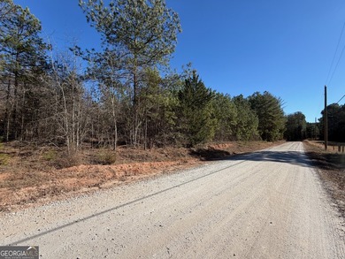 Your own slice of the Georgia outdoors on nearly 4 wooded acres - photo 4