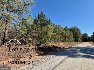 Your own slice of the Georgia outdoors on nearly 4 wooded acres - photo 5
