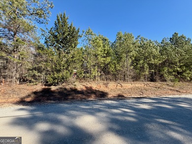 Your own slice of the Georgia outdoors on nearly 4 wooded acres - photo 6