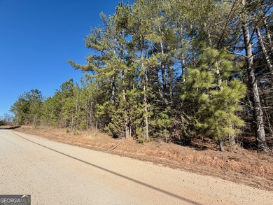 Your own slice of the Georgia outdoors on nearly 4 wooded acres - photo 7