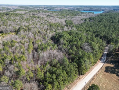 Your own slice of the Georgia outdoors on nearly 4 wooded acres - photo 8